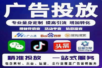 百度广告投放策略与效果评估案例